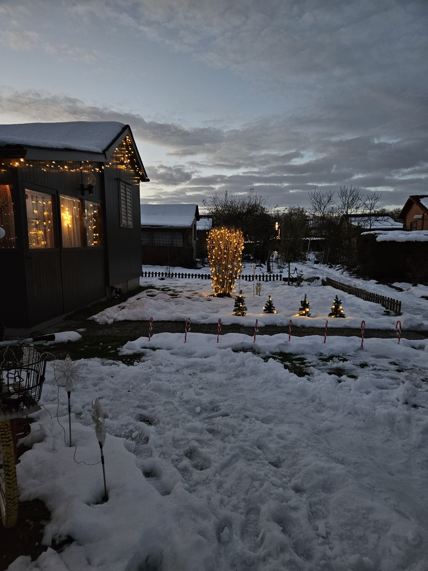 Im Garten