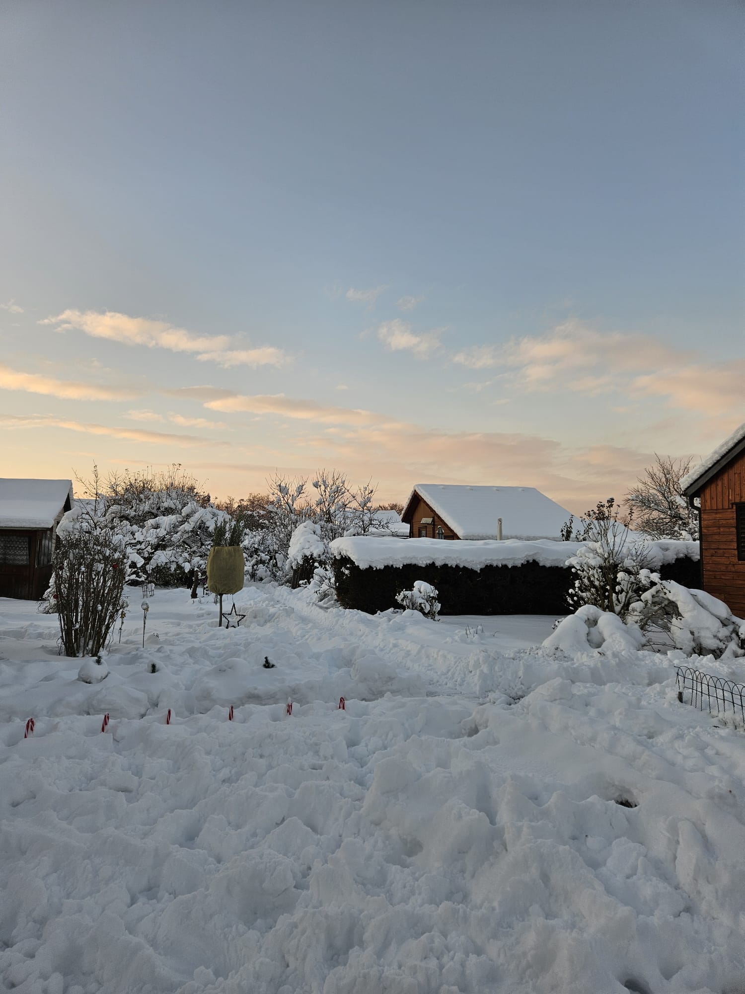 Schnee im Garten