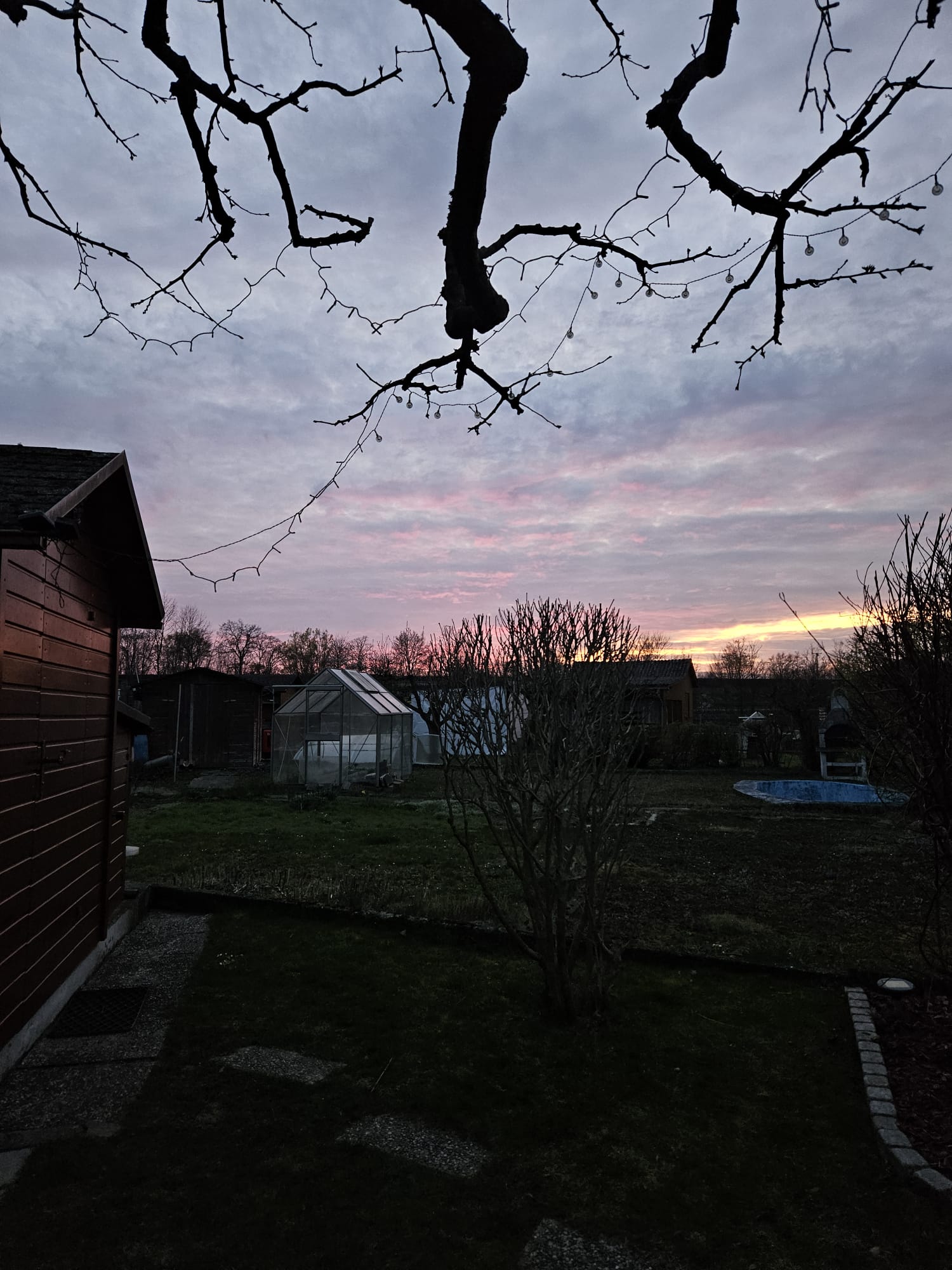 Bei uns im Garten